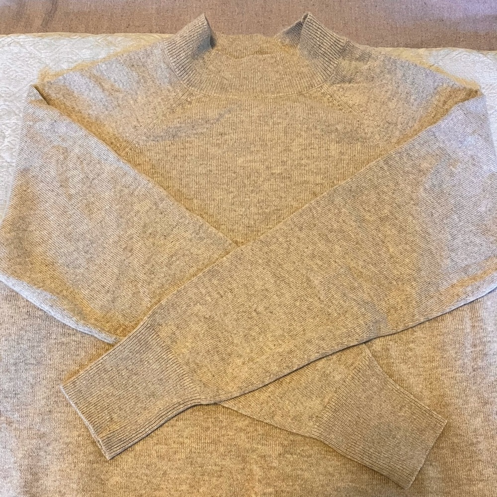 Everlane Cashmere Raglan Mockneck Sweater